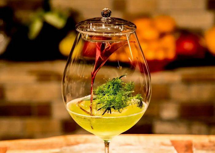 An innovative cocktail at Bar Benfiddich, featuring fresh herbs and foliage as decoration.